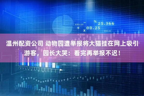 温州配资公司 动物园遭举报将大猫挂在网上吸引游客，园长大哭：看完再举报不迟！